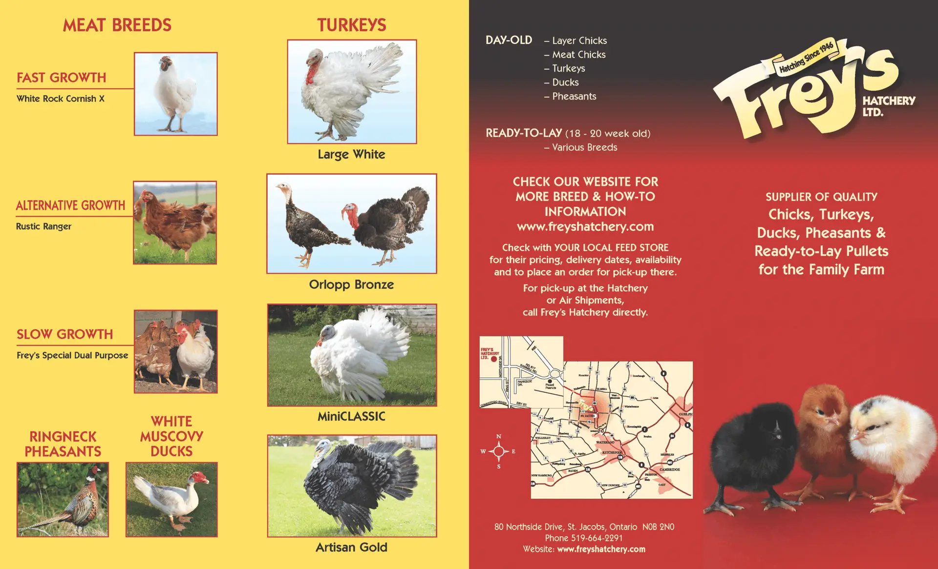 Frey's Chick Days Ordering Brochure 2026 - Order at Johnston Farm & Building Centre in Orillia - Formerly Peavey Mart