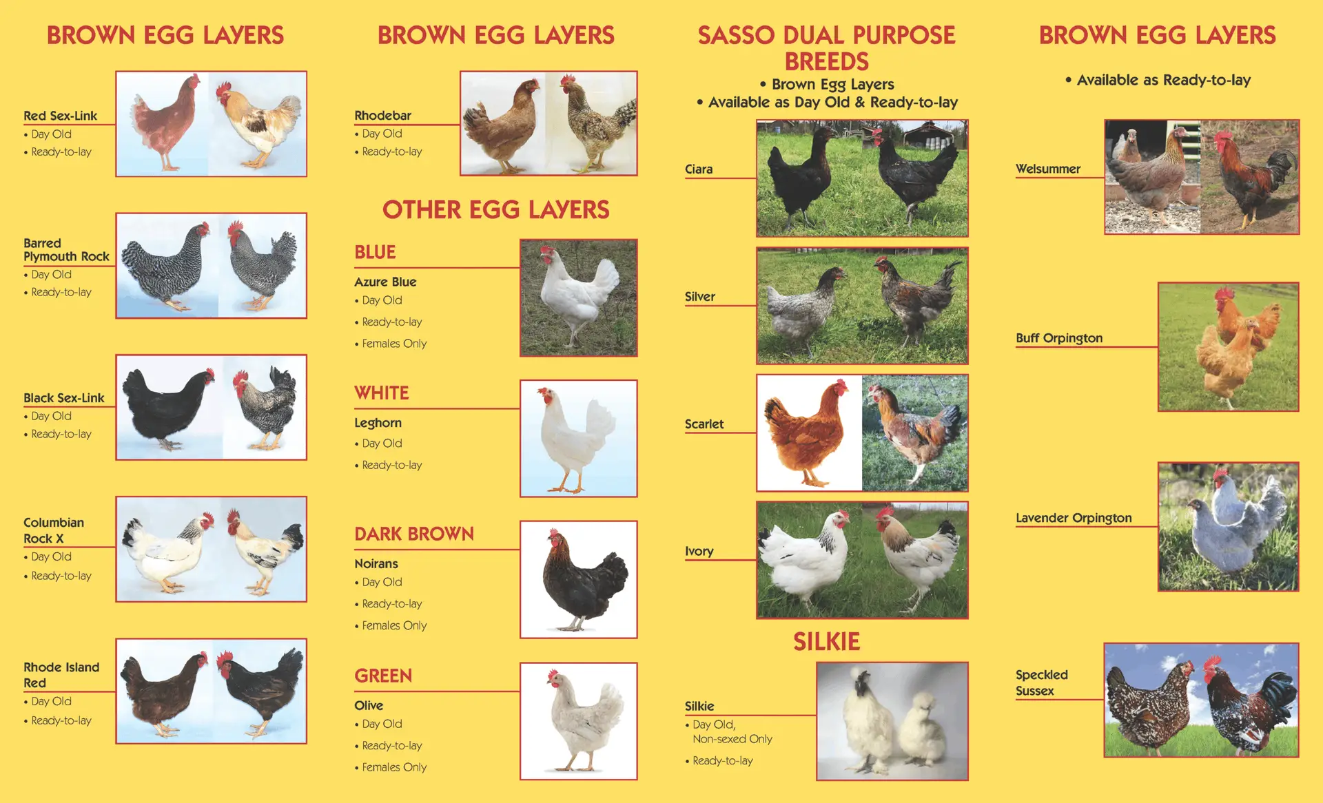 Frey's Chick Days Ordering Brochure 2026 - Order at Johnston Farm & Building Centre in Orillia - Formerly Peavey Mart