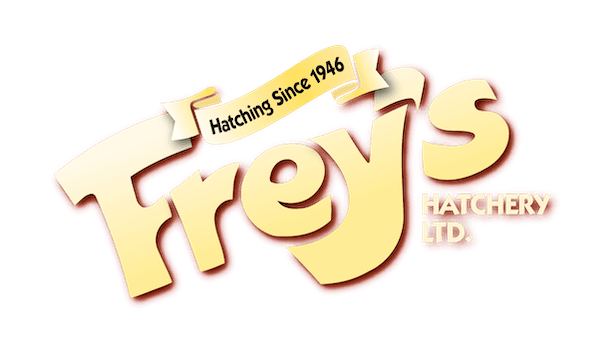 Frey's Hatchery - Chick and poultry bird suppliers